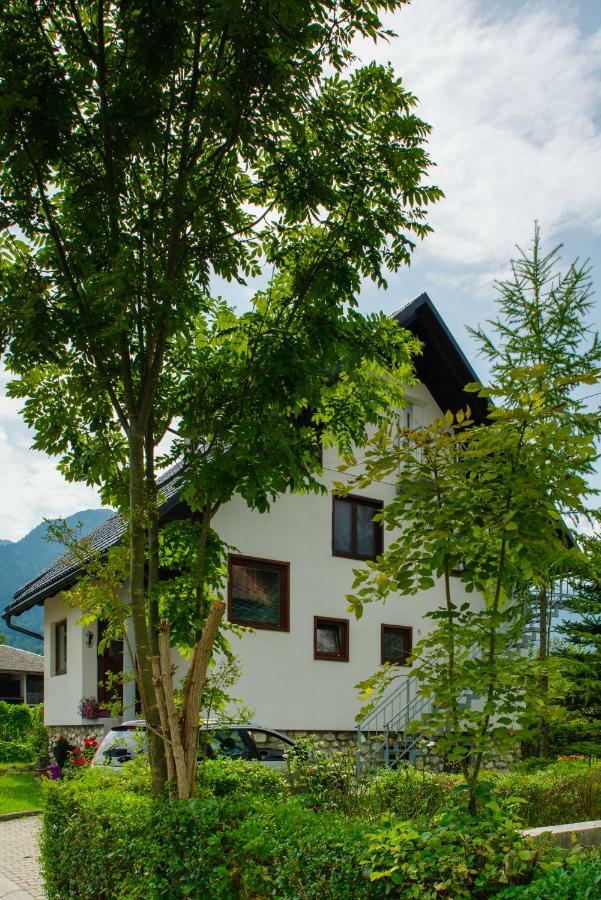 Apartment Ana Bohinj Exteriér fotografie