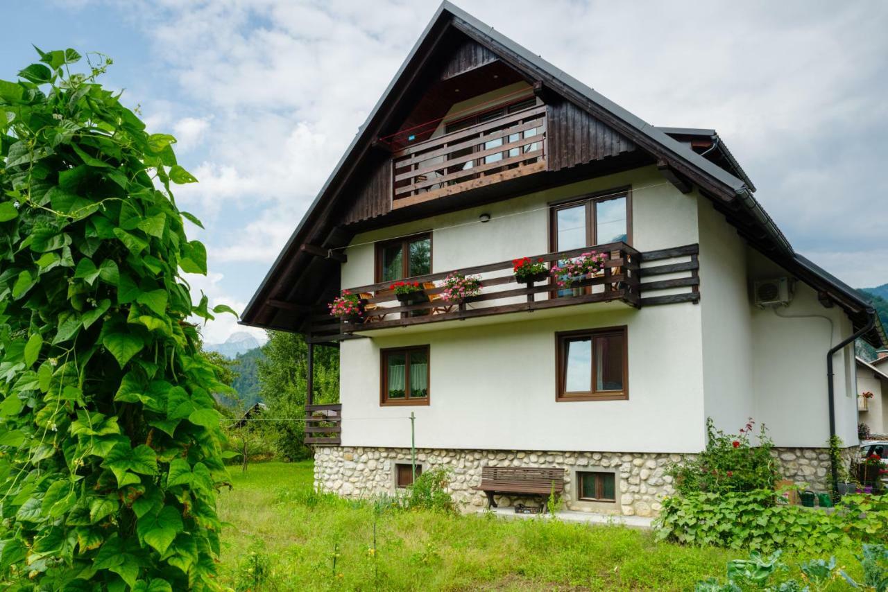 Apartment Ana Bohinj Exteriér fotografie